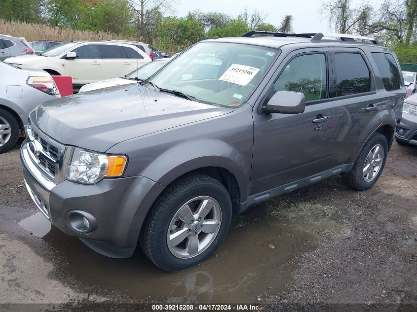 2010 Ford Escape Limited VIN: 1FMCU0EG4AKB27875 Lot: 51090744