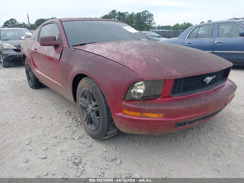 1ZVFT80N155145843 | 2005 FORD MUSTANG