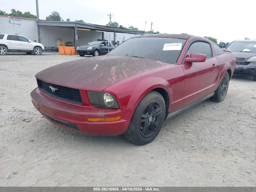 1ZVFT80N155145843 | 2005 FORD MUSTANG