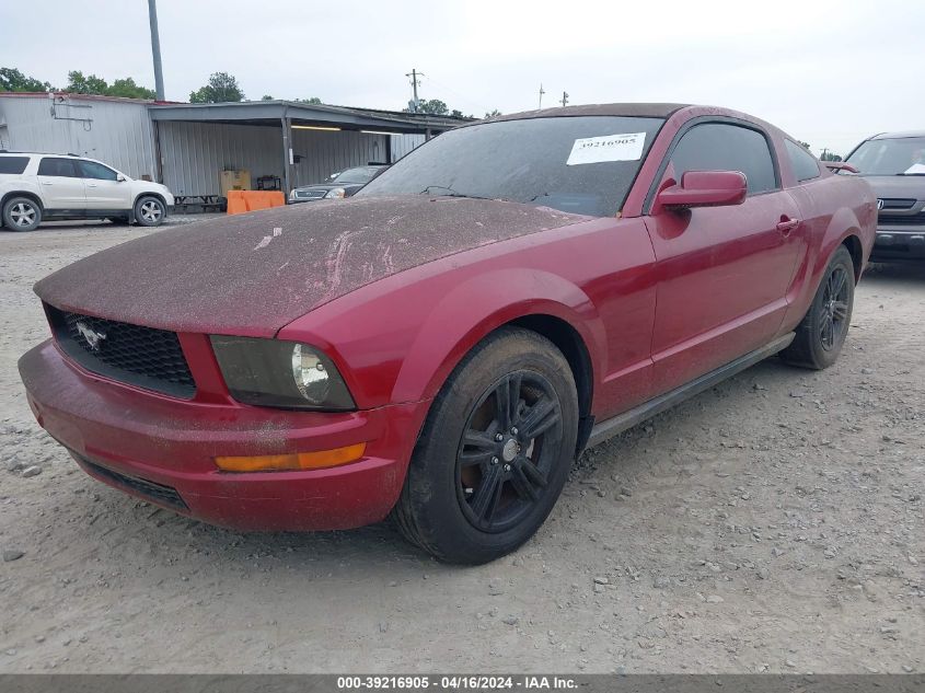 1ZVFT80N155145843 | 2005 FORD MUSTANG