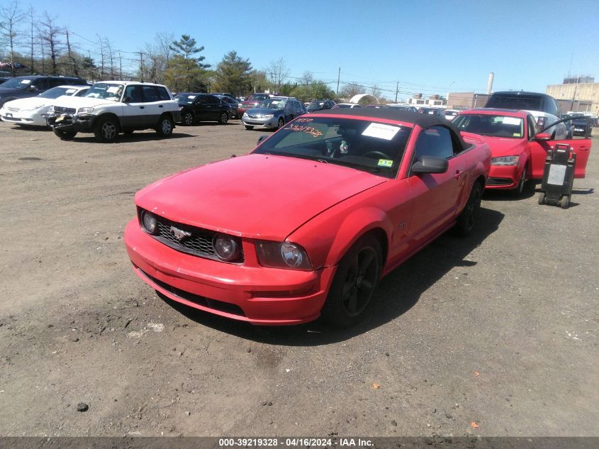 1ZVHT85H165245843 | 2006 FORD MUSTANG