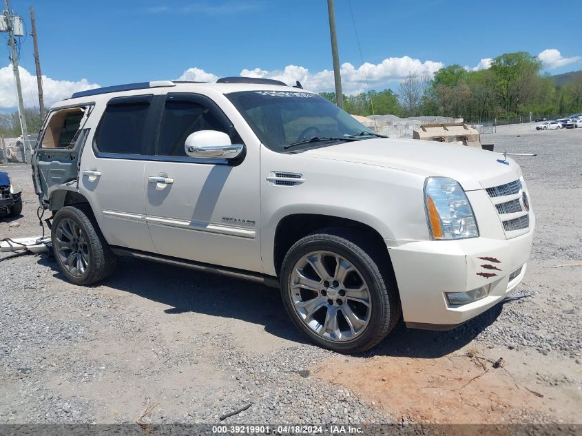 2012 Cadillac Escalade Premium VIN: 1GYS3CEF8CR283174 Lot: 39219901