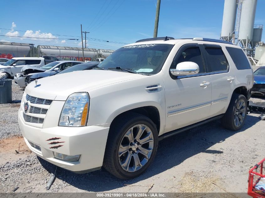 2012 Cadillac Escalade Premium VIN: 1GYS3CEF8CR283174 Lot: 39219901