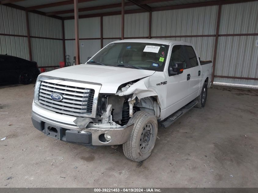 2010 Ford F-150 Fx2 Sport/Xl/Xlt VIN: 1FTEW1C83AFC96447 Lot: 39221453