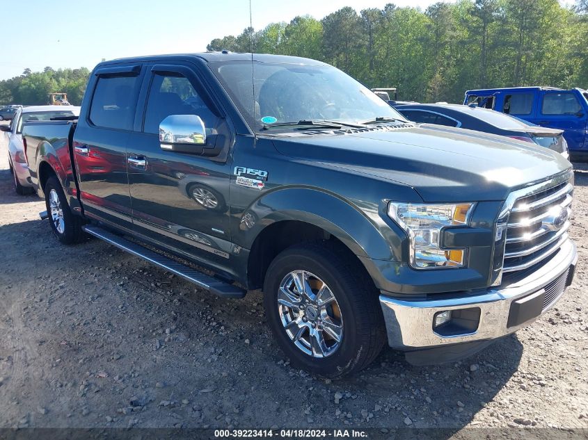 2015 FORD F-150 XLT - 1FTEW1CP8FFB54769