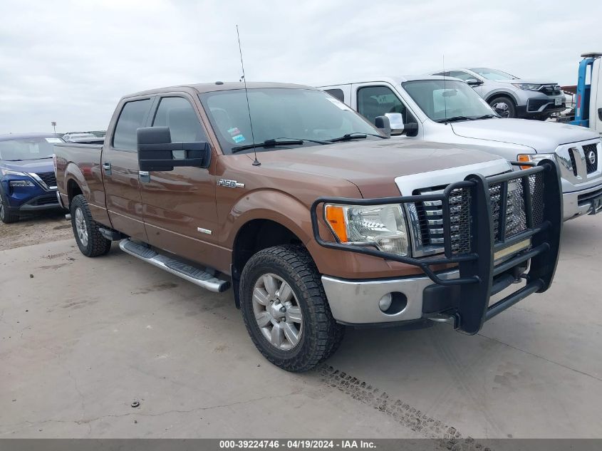 1FTFW1ET1CKE05049 2012 Ford F-150 Xlt