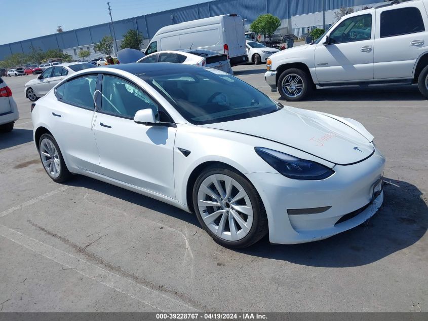 2023 Tesla Model 3 Rear-Wheel Drive VIN: 5YJ3E1EA8PF452036 Lot: 39228767