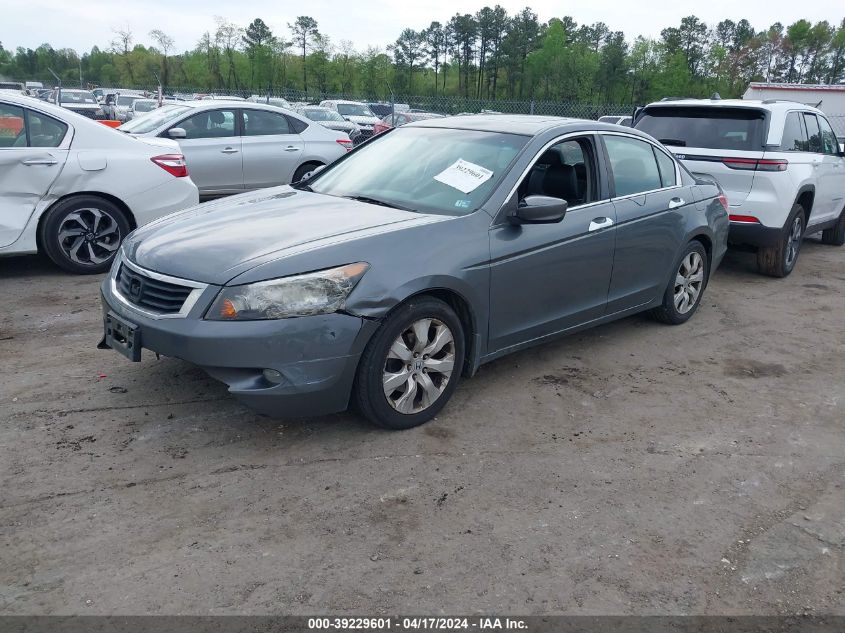 5KBCP36819B501096 | 2009 HONDA ACCORD