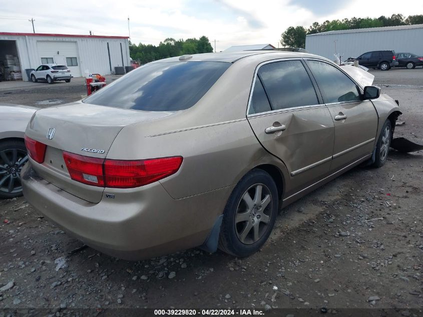 2005 Honda Accord 3.0 Ex VIN: 1HGCM66535A051082 Lot: 39229820