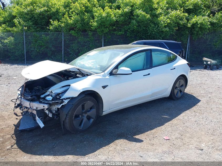 2023 Tesla Model 3 Rear-Wheel Drive VIN: 5YJ3E1EA2PF402829 Lot: 39230497