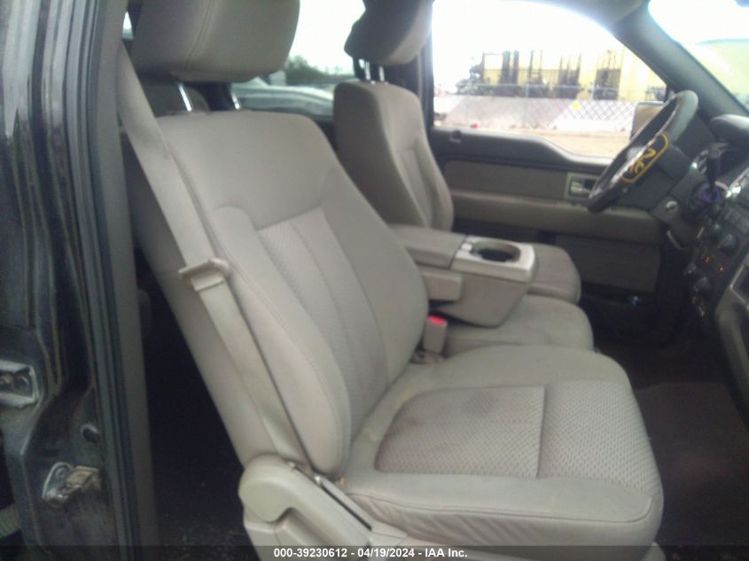 2009 Ford F-150 Fx4/King Ranch/Lariat/Platinum/Xl/Xlt VIN: 1FTPW14V69KB12389 Lot: 39230612