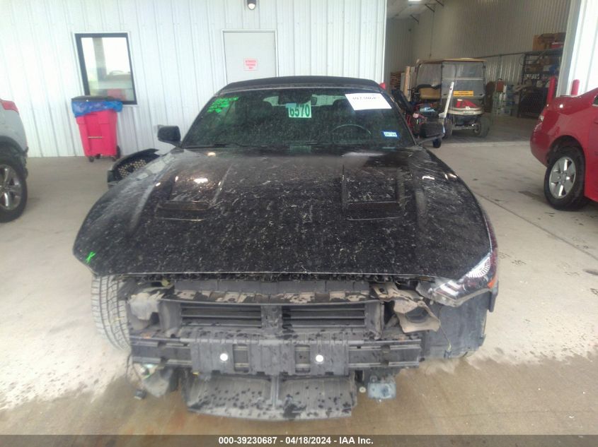 2019 Ford Mustang Ecoboost Premium VIN: 1FATP8UH1K5171987 Lot: 39230687