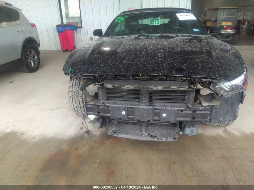 2019 Ford Mustang Ecoboost Premium VIN: 1FATP8UH1K5171987 Lot: 39230687