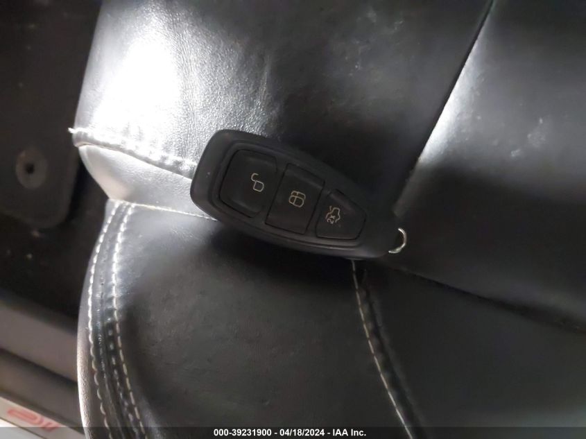 2013 Ford Focus St VIN: 1FADP3L96DL234257 Lot: 39231900