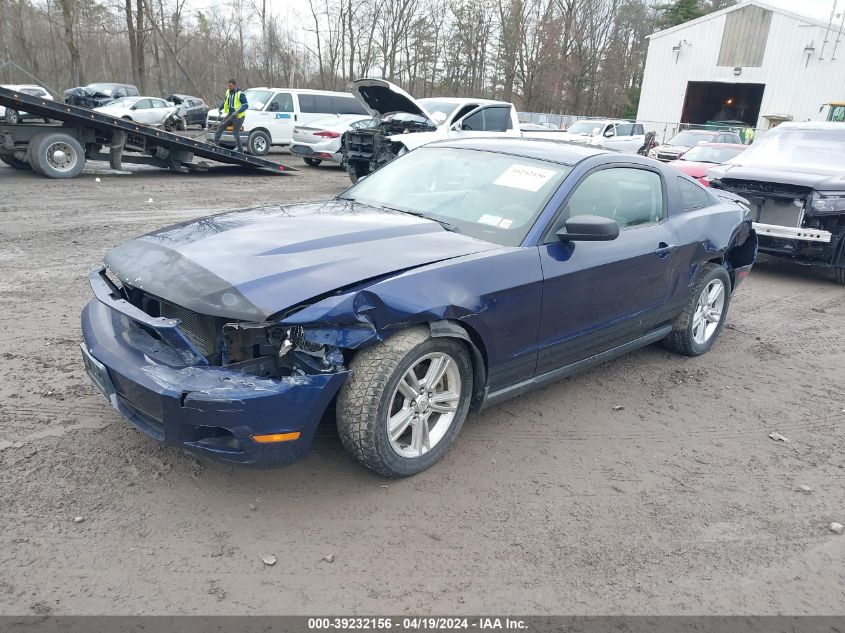 2011 Ford Mustang V6 VIN: 1ZVBP8AM3B5134797 Lot: 39232156