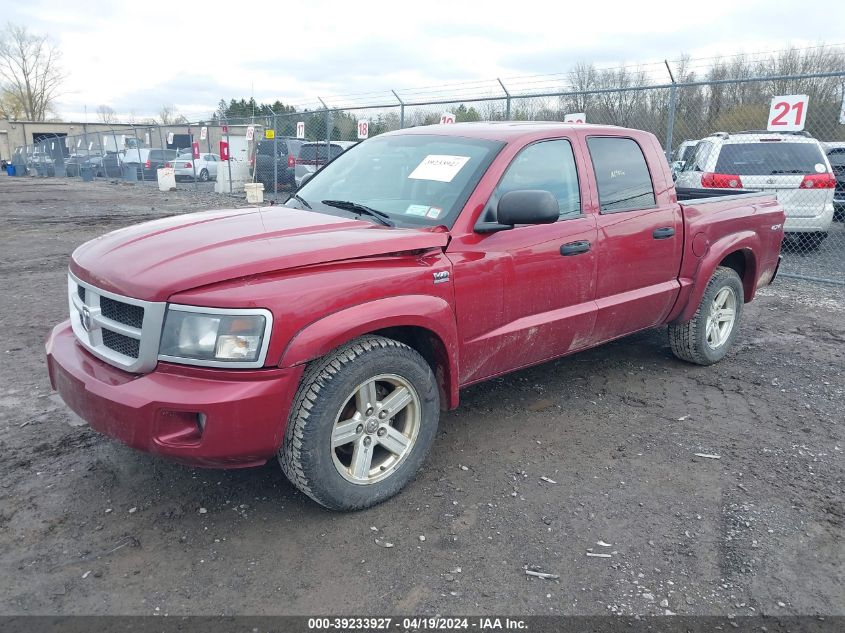 2011 Ram Dakota Bighorn/Lonestar VIN: 1D7RW3GP0BS549768 Lot: 39233927