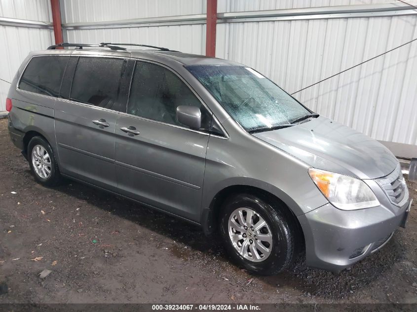 2009 Honda Odyssey Ex-L VIN: 5FNRL38609B403676 Lot: 39234067