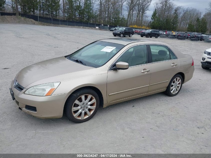 1HGCM66597A013777 | 2007 HONDA ACCORD