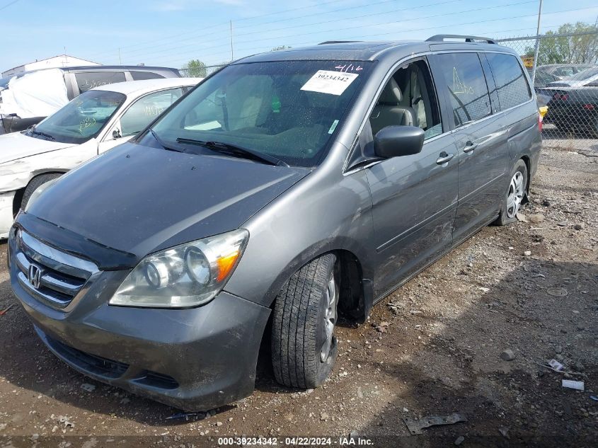 2007 Honda Odyssey Ex-L VIN: 5FNRL38747B411432 Lot: 39234342