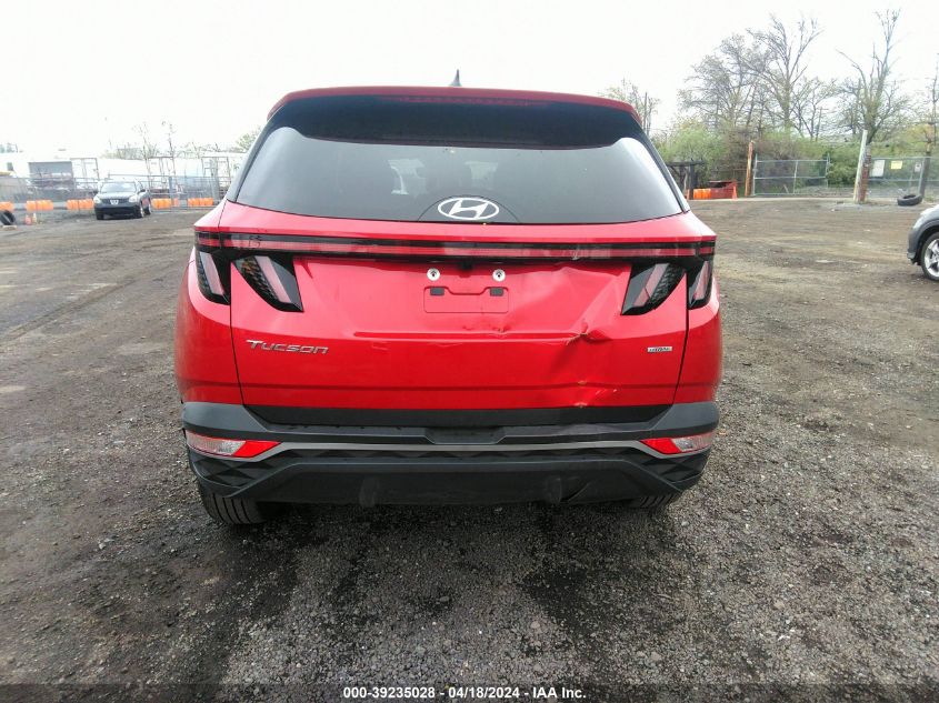 2023 Hyundai Tucson Sel VIN: 5NMJBCAE7PH255006 Lot: 39235028