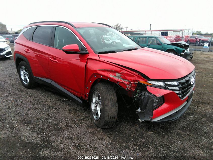 2023 Hyundai Tucson Sel VIN: 5NMJBCAE7PH255006 Lot: 39235028