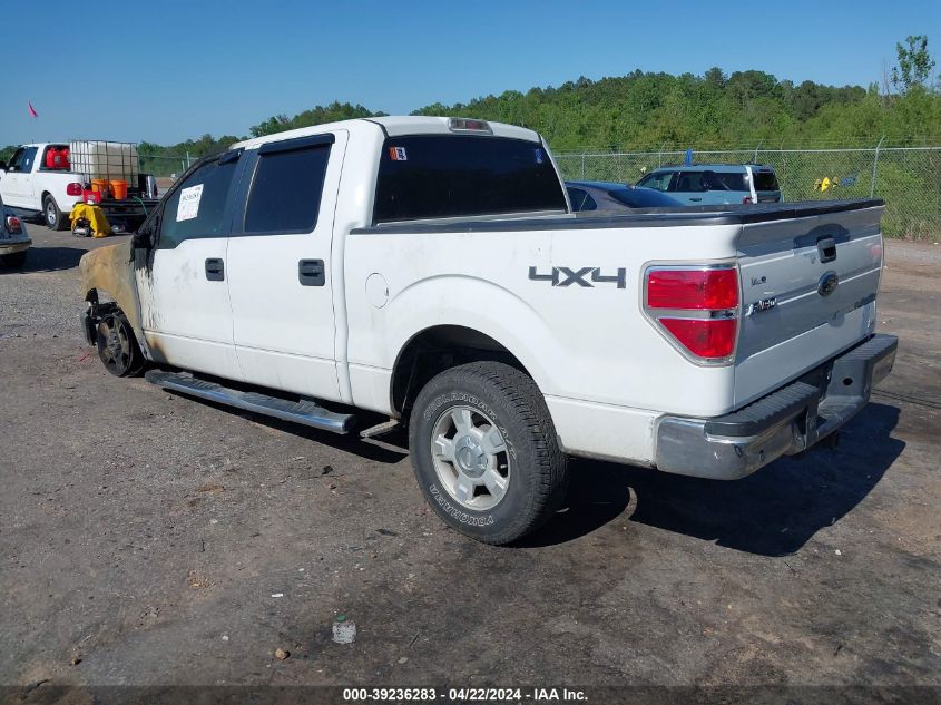 2010 Ford F-150 Fx4/Harley-Davidson/King Ranch/Lariat/Platinum/Xl/Xlt VIN: 1FTFW1EV2AKE73813 Lot: 39236283