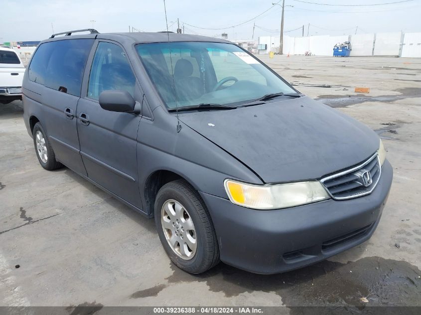 2004 Honda Odyssey Ex-L VIN: 5FNRL18984B080436 Lot: 39236388
