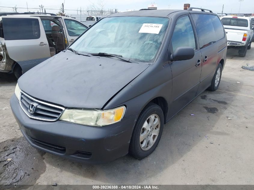 2004 Honda Odyssey Ex-L VIN: 5FNRL18984B080436 Lot: 39236388