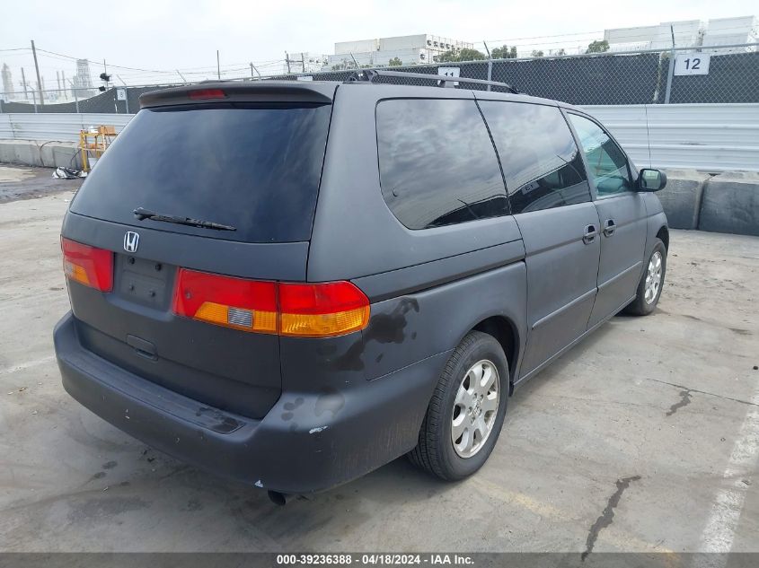 2004 Honda Odyssey Ex-L VIN: 5FNRL18984B080436 Lot: 39236388