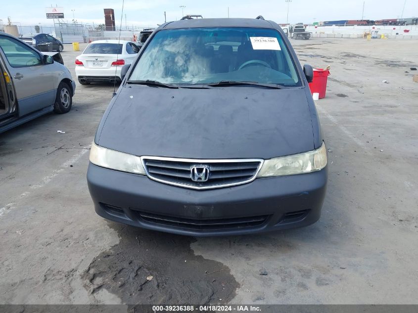 2004 Honda Odyssey Ex-L VIN: 5FNRL18984B080436 Lot: 39236388