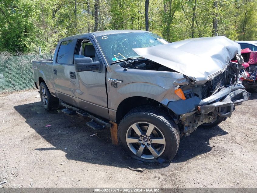 2013 FORD F-150 XL - 1FTFW1EF1DFB10862