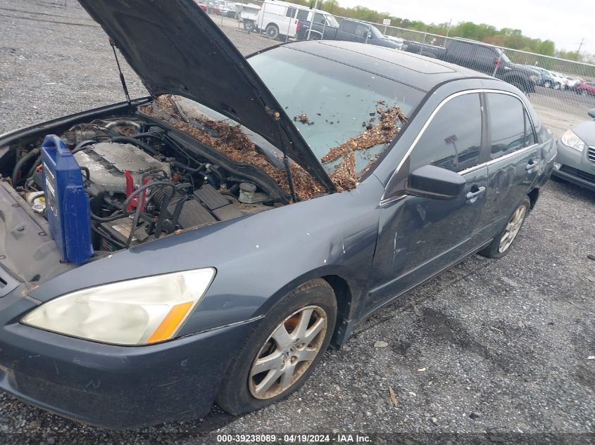 1HGCM66565A006699 | 2005 HONDA ACCORD