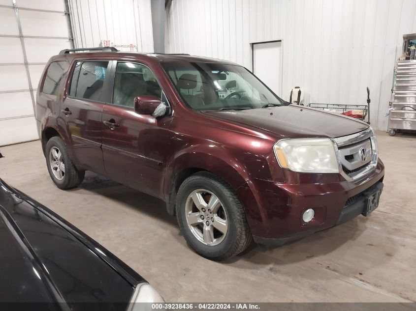 2009 Honda Pilot Ex-L VIN: 5FNYF48669B029101 Lot: 51195274