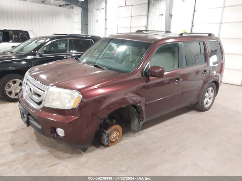 2009 Honda Pilot Ex-L VIN: 5FNYF48669B029101 Lot: 51195274