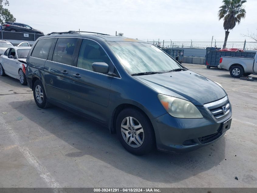 2005 Honda Odyssey Ex-L VIN: 5FNRL38635B409983 Lot: 39241291