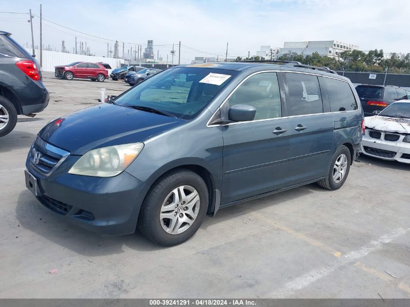 2005 Honda Odyssey Ex-L VIN: 5FNRL38635B409983 Lot: 39241291