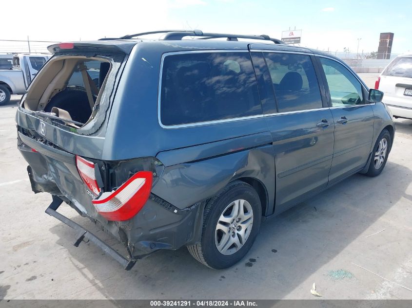 2005 Honda Odyssey Ex-L VIN: 5FNRL38635B409983 Lot: 39241291