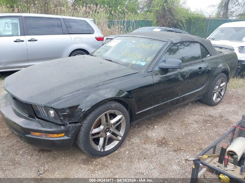 1ZVFT84N255233990 | 2005 FORD MUSTANG