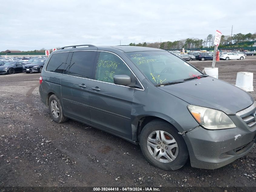 2007 Honda Odyssey Ex-L VIN: 5FNRL38687B433067 Lot: 39244418