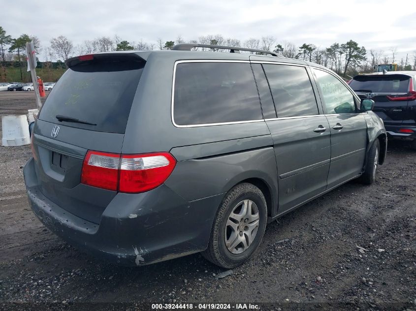 2007 Honda Odyssey Ex-L VIN: 5FNRL38687B433067 Lot: 39244418