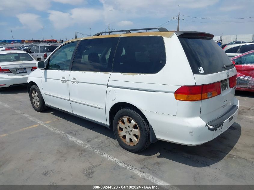 2003 Honda Odyssey Ex-L VIN: 5FNRL18033B055167 Lot: 39244528