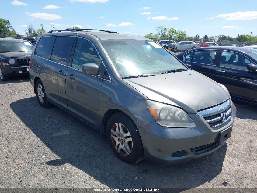 2007 Honda Odyssey Ex VIN: 5FNRL38407B443980 Lot: 39245209