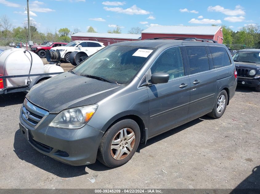 2007 Honda Odyssey Ex VIN: 5FNRL38407B443980 Lot: 39245209