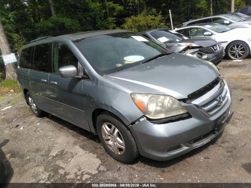 2006 Honda Odyssey Ex-L VIN: 5FNRL38706B107724 Lot: 39245592