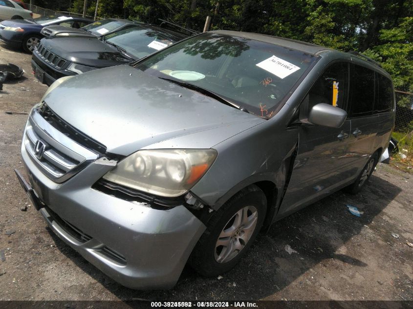 2006 Honda Odyssey Ex-L VIN: 5FNRL38706B107724 Lot: 39245592