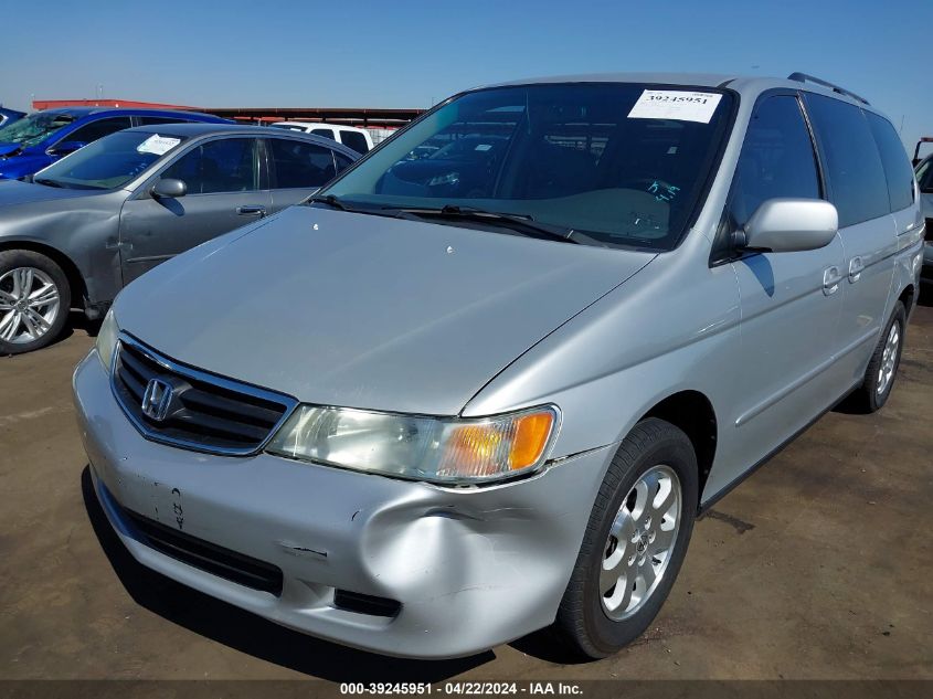 2004 Honda Odyssey Ex-L VIN: 5FNRL18764B113867 Lot: 69529823