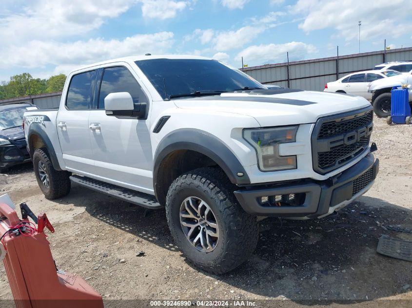 2017 Ford F-150 Raptor VIN: 1FTFW1RG8HFA64374 Lot: 39246990