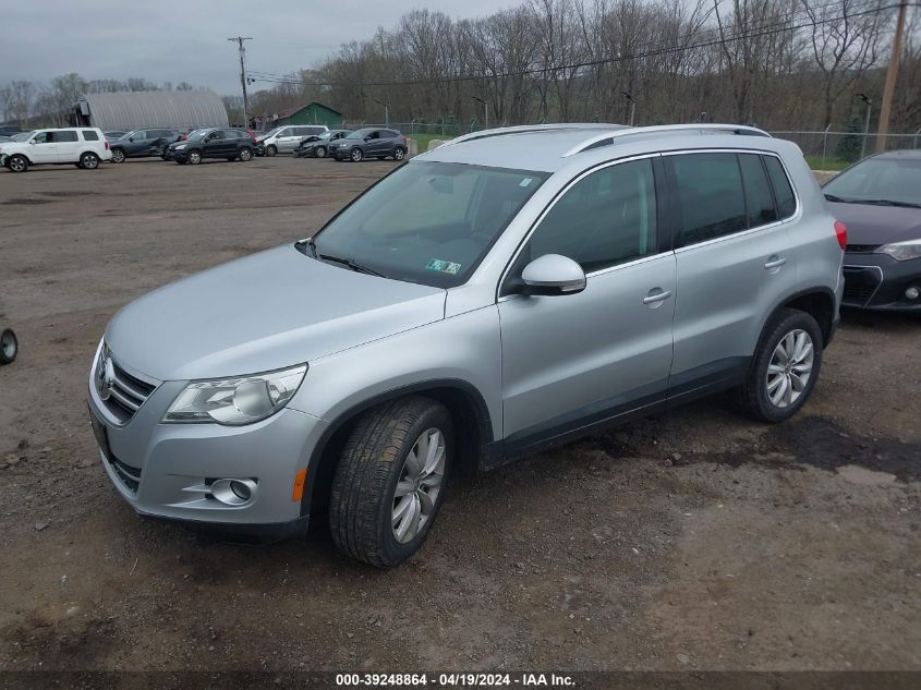 2011 Volkswagen Tiguan Se VIN: WVGAV7AX7BW505328 Lot: 39248864