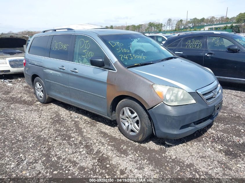 2007 Honda Odyssey Ex-L VIN: 5FNRL38767B028379 Lot: 39250150