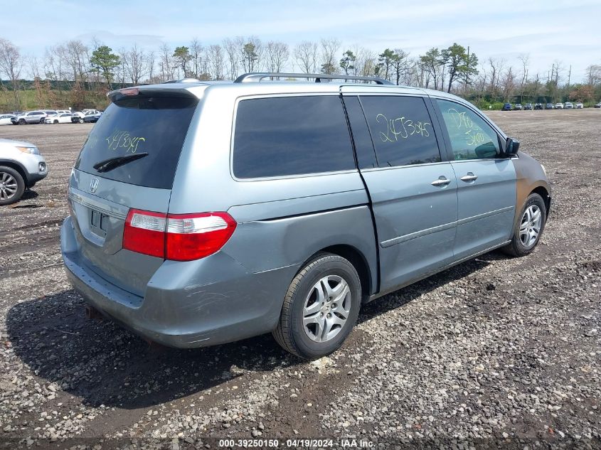 2007 Honda Odyssey Ex-L VIN: 5FNRL38767B028379 Lot: 39250150